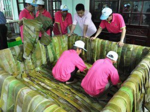 Cận Cảnh Màn Gói Chiếc Bánh Chưng “Khủng” Dâng Vua Hùng 7 Cận Cảnh Màn Gói Chiếc Bánh Chưng “Khủng” Dâng Vua Hùng
