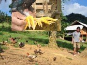 Những Món Ngon Nghe Lạ Tai, Ít Người Biết Của Phú Thọ