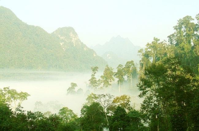 Bồng Bềnh Mây Trời, Vườn Quốc Gia Xuân Sơn. (Ảnh: Blogcamxuc.net)