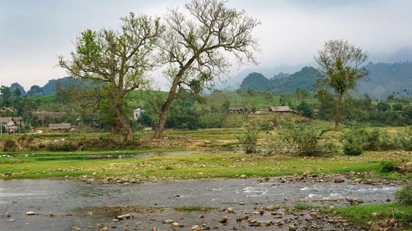 Bản Ú - Ngôi Làng Đẹp Như Tranh Vẽ Ở Phú Thọ, Ai Lỡ Lướt Qua Sẽ Tiếc Hùi Hụi