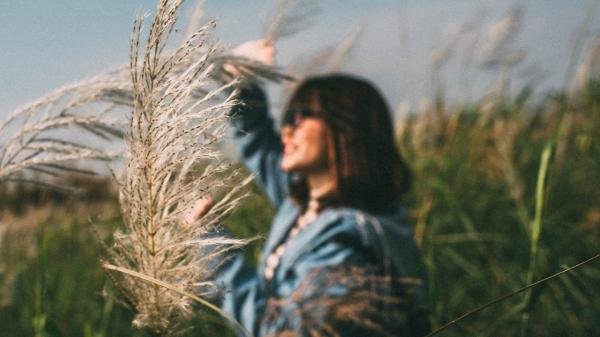 Đi Nhanh Kẻo Lỡ Cả Một Cánh Đồng Cỏ Lau Đang Mùa Nở Rộ Ở Thị Xã Phú Thọ!