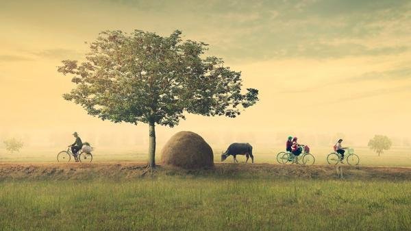 Xúc Động: Ngắm Loạt Ảnh Đồng Quê Việt Nam Bình Dị Này, Ai Cũng Sẽ Thấy Quê Hương Mình Ở Trong Đó...