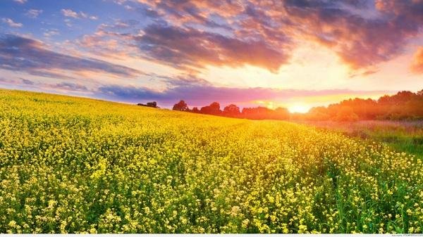 Top Những Điểm Du Lịch Lý Tưởng Bạn Không Thể Bỏ Qua Trong Tháng 10 Này