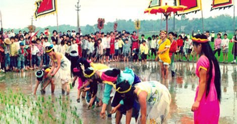 Lễ Hội Vua Hùng Dạy Dân Cấy Lúa Ở Làng Minh Nông