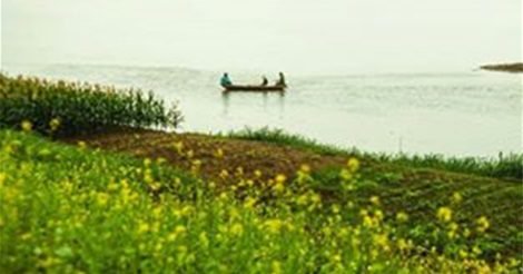 Làng Rau Tân Đức, Điểm Đến Thú Vị Trong Hành Trình Về Đất Tổ 22 Làng Rau Tân Đức, Điểm Đến Thú Vị Trong Hành Trình Về Đất Tổ