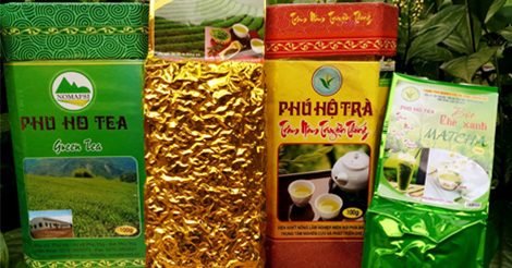 Trung Tâm Nghiên Cứu Và Phát Triển Chè Tại Phú Thọ - Cái Nôi Của Ngành Chè Việt Nam.