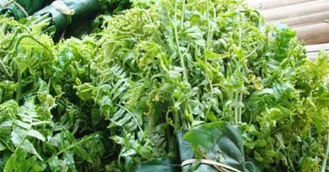 Độc Đáo Món Rau Rừng Đồ Của Người Mường