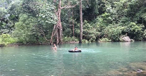 Sự Quyến Rũ Riêng Có Của Bản Cỏi