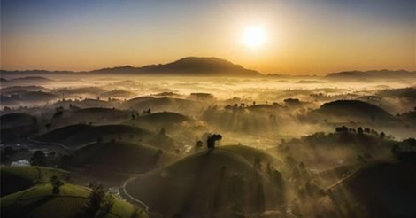 Đồi Chè Long Cốc Đẹp Mê Hồn Trong Ánh Bình Minh