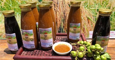 Tương Hoa Lúa - Đậm Đà Hương Vị Đất Tổ