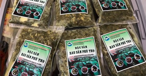 Rau Sắn Chua Phú Thọ - Đặc Sản Ẩm Thực Hương Vị Quê Hương Đất Tổ