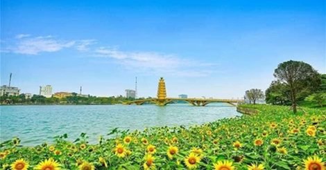 Check - In Thung Lũng Hướng Dương Công Viên Văn Lang