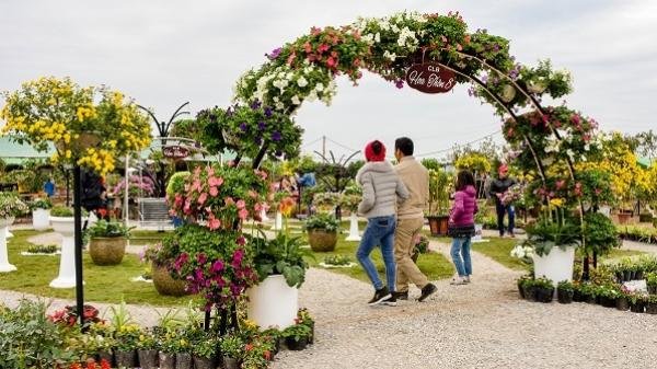 Choáng Ngợp “Kì Hoa Dị Thảo“ Rực Rỡ: Đi Ngay Kẻo Lỡ Lễ Hội Hoa Lớn Nhất Miền Bắc