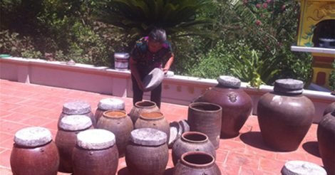 Ẩm Thực Bốn Mùa Ở Vùng Quê Thanh Thủy