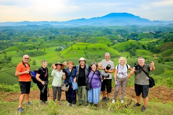 Đồi Chè Long Cốc - Chốn Bồng Lai Tiên Cảnh