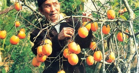 Hồng Hạc Trì - Hương Vị Đất Tổ