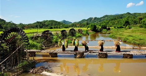 Măng Chua Nấu Thịt Gà