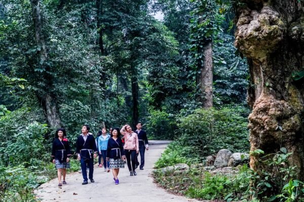 Vườn Quốc Gia Xuân Sơn: Không Gian Xanh Giữa Trưa Hè