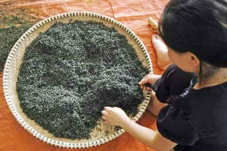 Chè Phú Thọ Sạch - Đặc Sản Chè Thanh Sơn Phú Thọ Nổi Tiếng