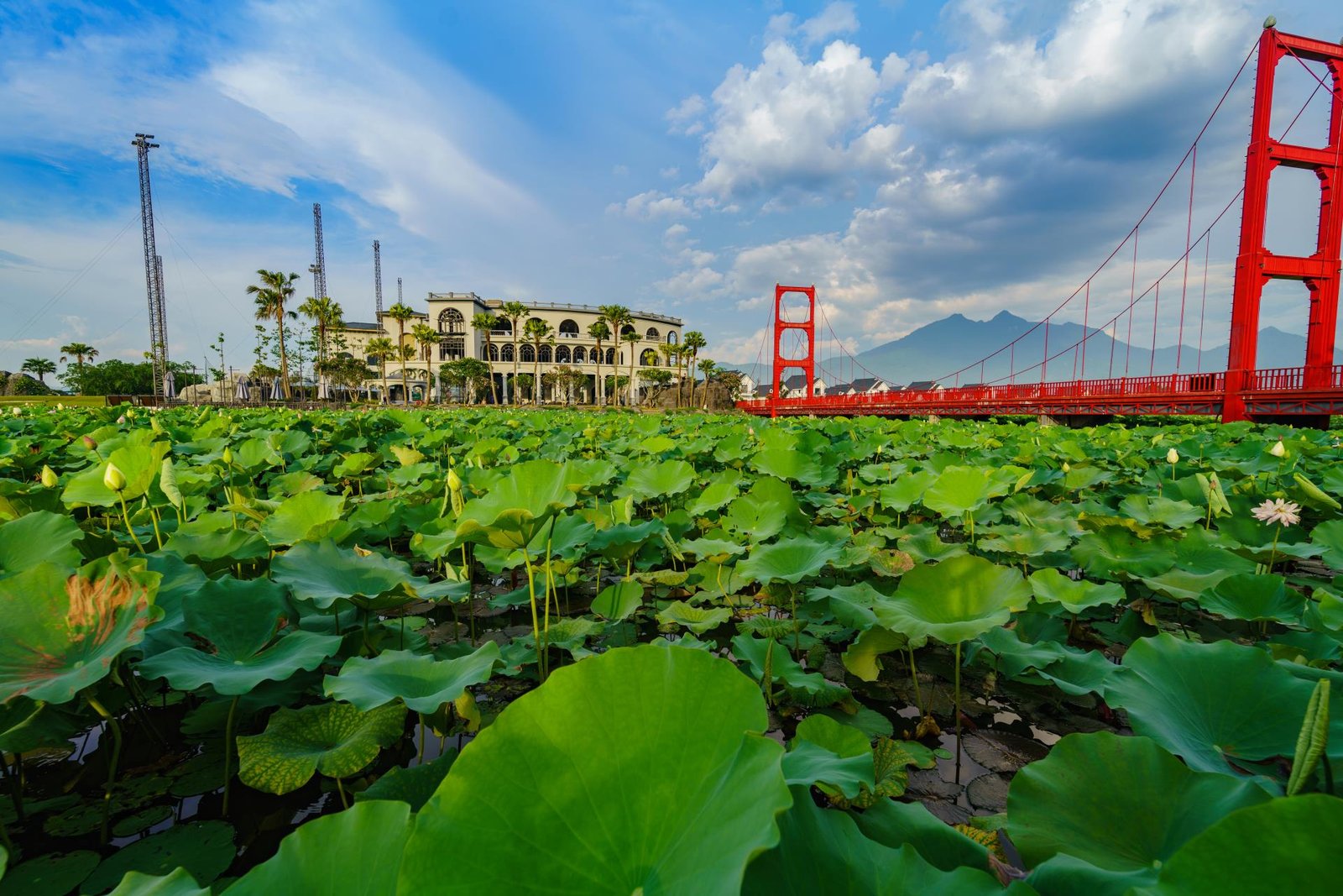 Khu Du Lịch Sinh Thái Vườn Vua Với Cánh Đồng Sen Tuyệt Đẹp