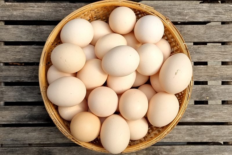 Trứng Gà Sạch - Trứng Gà Quê Phú Thọ
