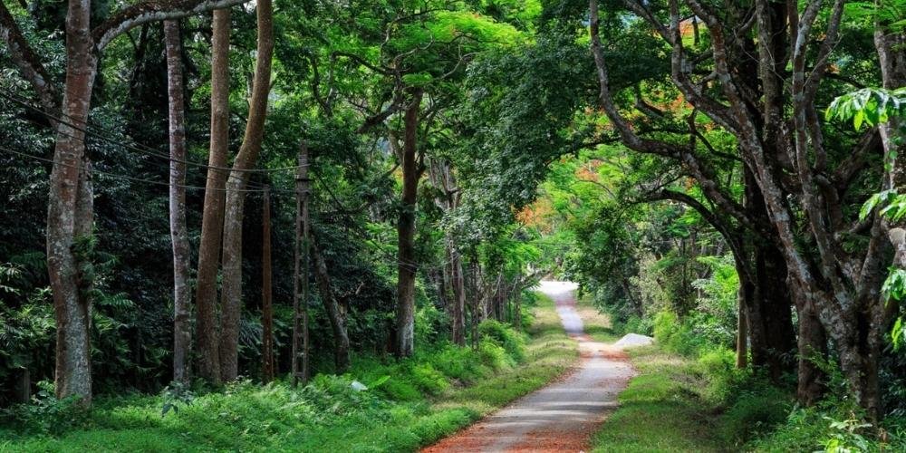 Ba Vì - Điểm Du Lịch Ngắn Ngày Gần Hà Nội Với Thiên Nhiên Tuyệt Đẹp